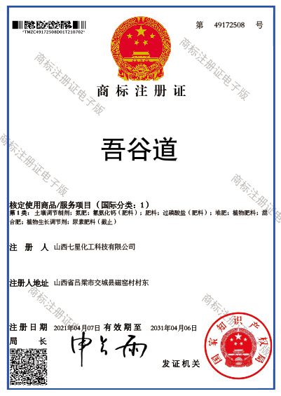 資質(zhì)榮譽(yù)